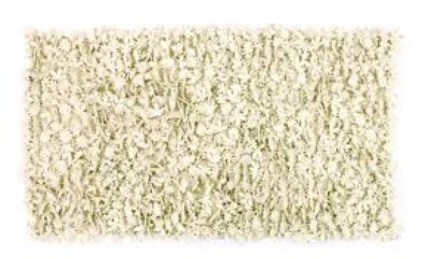 Little field of flowers crudo 200x300